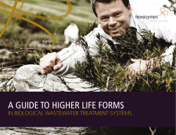 a guide to higher life forms
