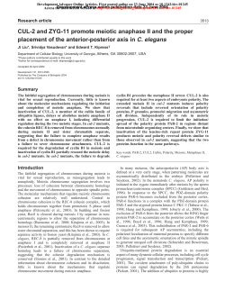 CUL-2 and ZYG-11 promote meiotic anaphase II and