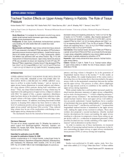 Tracheal Traction Effects on Upper Airway Patency