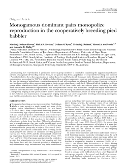 Monogamous dominant pairs monopolize