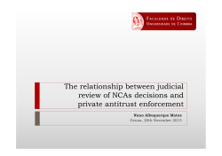 The relationship between judicial review of NCAs decisions and