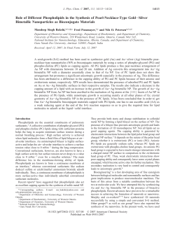 Role of Different Phospholipids in the Synthesis of