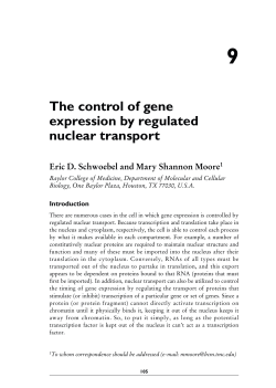 Eric D. Schwoebel and Mary Shannon Mooren