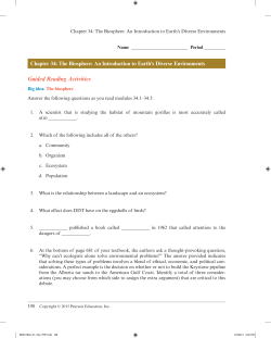 Guided Reading Activities