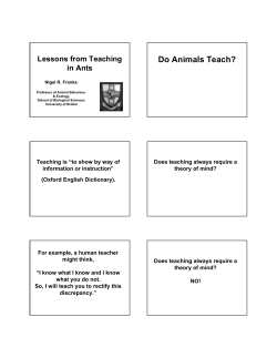 Do Animals Teach? - University of Bristol