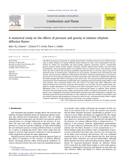 A numerical study on the effects of pressure and gravity in laminar