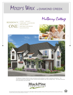 Brochure - BlackPine Communities