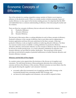 Economic Concepts of Efficiency