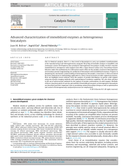 Advanced characterization of immobilized enzymes as
