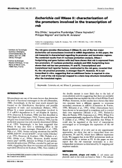 Escherichia coli RNase II : characterization of the
