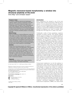 Magnetic resonance-based morphometry