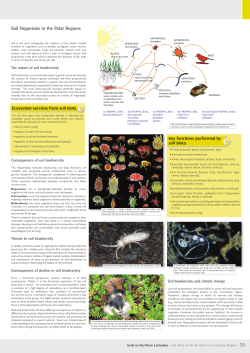 Soil Organisms in the Polar Regions