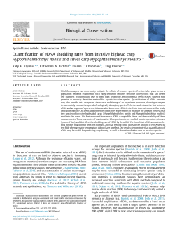 Quantification of eDNA shedding rates from invasive