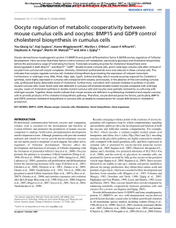 BMP15 and GDF9 control cholesterol biosynt