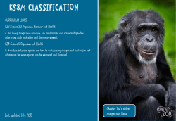 ks3/4 classification