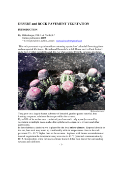 Desert and Rock Pavement vegetation