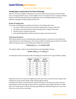 Feeding Space Requirements for Grow-Finish Pigs