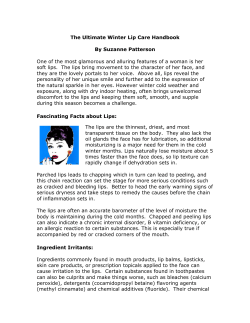 The Ultimate Winter Lip Care Handbook