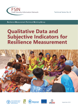 Qualitative Data and Subjective Indicators for Resilience Measurement