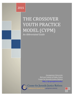 the crossover youth practice model (cypm)