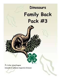 Family Back Pack #3