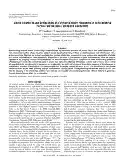 Single source sound production and dynamic beam formation in