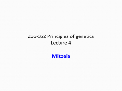 Principals of General Zoology (Zoo-103)