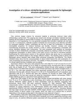 Investigation of a silicon nitride/ferrite gradient composite