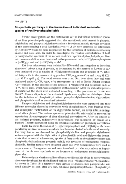 635 Biosynthetic pathways in the formation of individual molecular