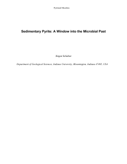 Sedimentary Pyrite: A Window into the Microbial Past