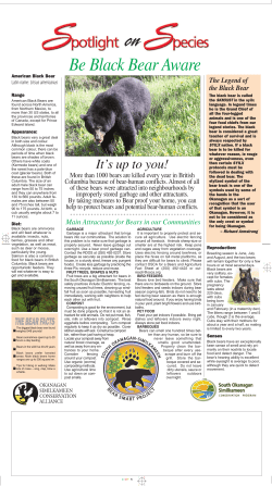 Be Black Bear Aware