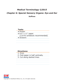 Chapter 6 Suffixes E-Flash Cards