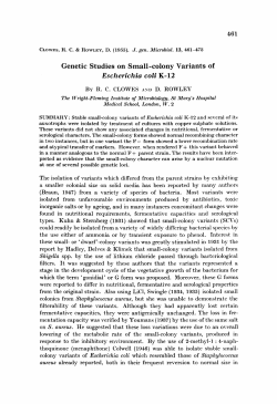 Genetic Studies on Small-colony Variants of