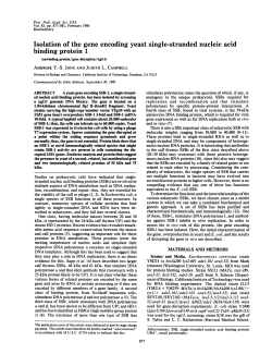 Isolation of the gene encoding yeast single-stranded nucleic