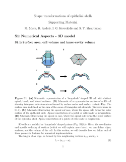 Shape transformations of epithelial shells Supporting Material S1