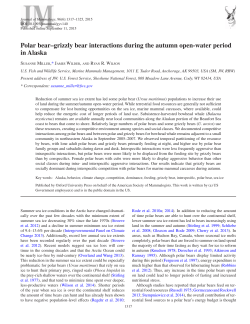 Polar bear&ndash;grizzly bear interactions during the