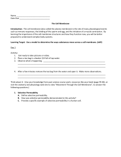 The cell membrane - Liberty Hill High School