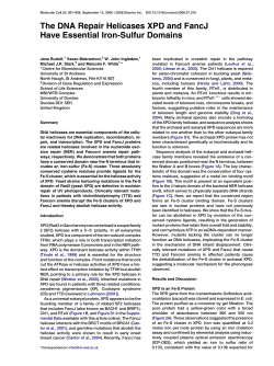 The DNA Repair Helicases XPD and FancJ Have Essential Iron