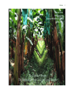 The Unpeeled Banana: The Effects of the Fruit Trade in Central