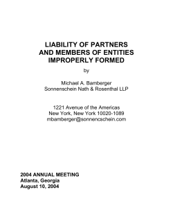 Liability of Partners and Members of Entities Improperly Formed