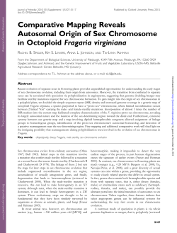 Comparative Mapping Reveals Autosomal Origin of Sex