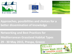 Approaches, possibilities and choices for a better dissemination of