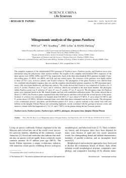 Mitogenomic analysis of the genus Panthera
