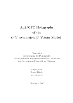 AdS/CFT Holography of the O(N)