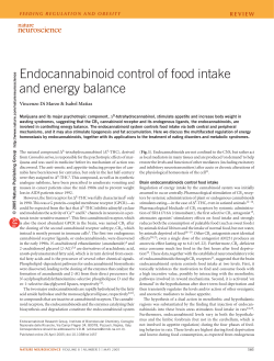 Endocannabinoid control of food intake and energy balance