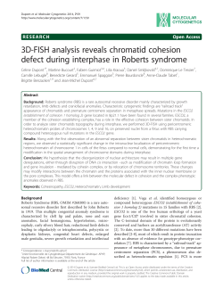 3D-FISH analysis reveals chromatid cohesion defect during