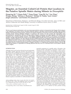 Megator, an Essential Coiled-Coil Protein that Localizes to the