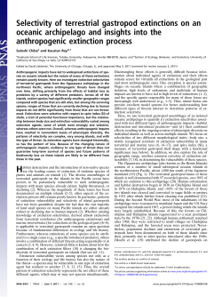 Selectivity of terrestrial gastropod extinctions on an oceanic
