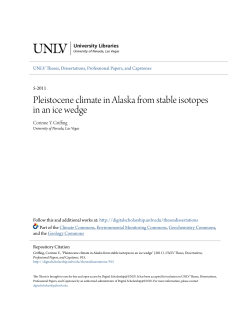 Pleistocene climate in Alaska from stable isotopes in an ice wedge
