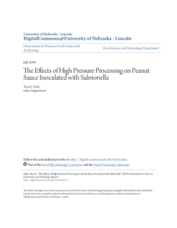 The Effects of High Pressure Processing on Peanut Sauce